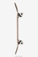 Globe Brand arcilla Goodstock 8,5" completo 68L0T193 patinetas - Image 3